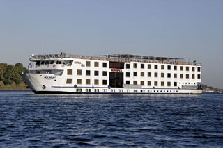 Viking Royal Lily